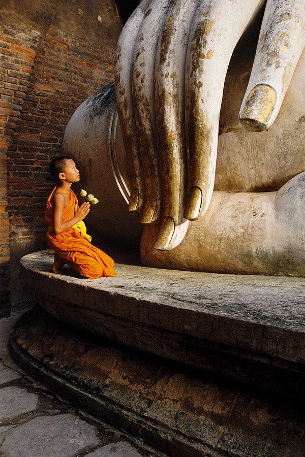 Hand of Buddha