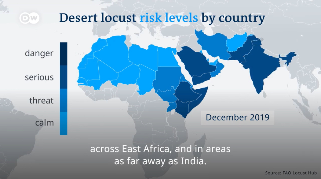 Locost Swarms all over the world